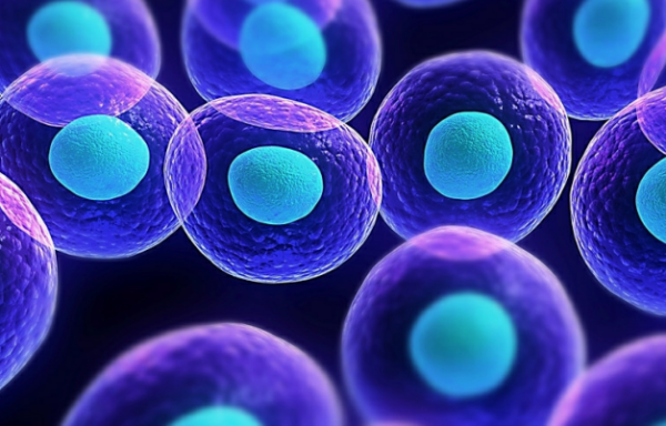 什么是水光？一文讀懂肌膚“深層補水”的秘密